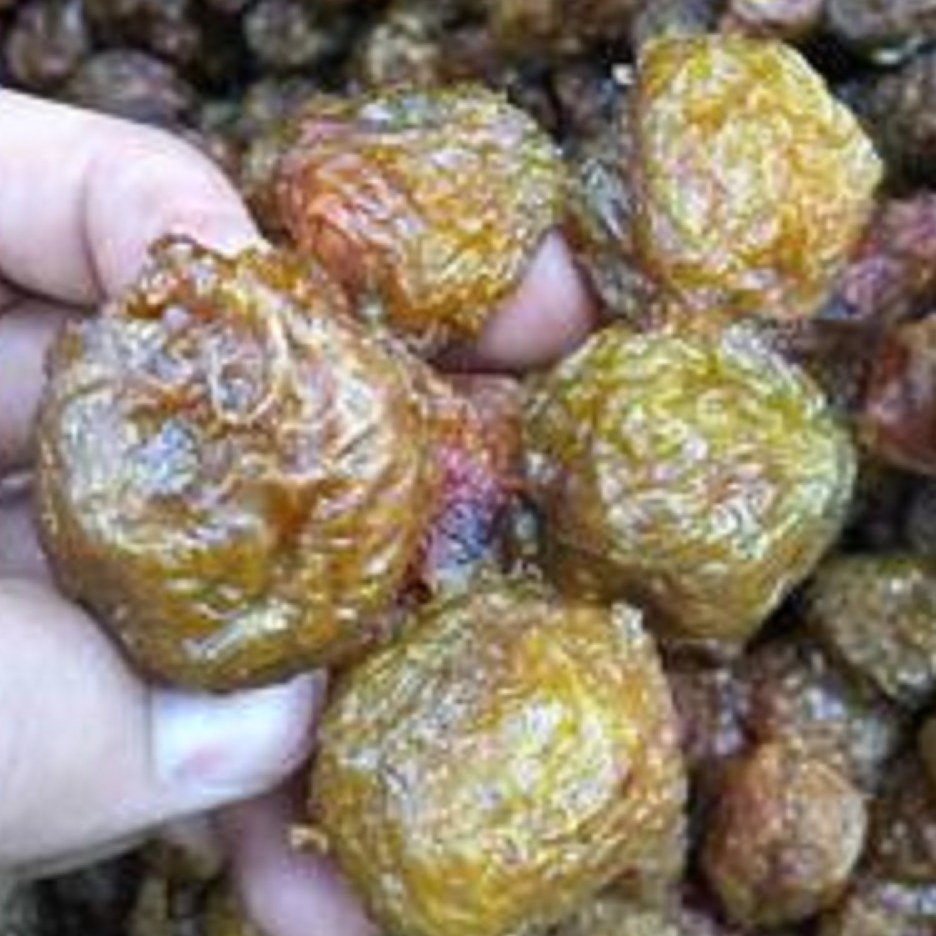 الو طرقبه افتاب خشک نوبر 1000گرم