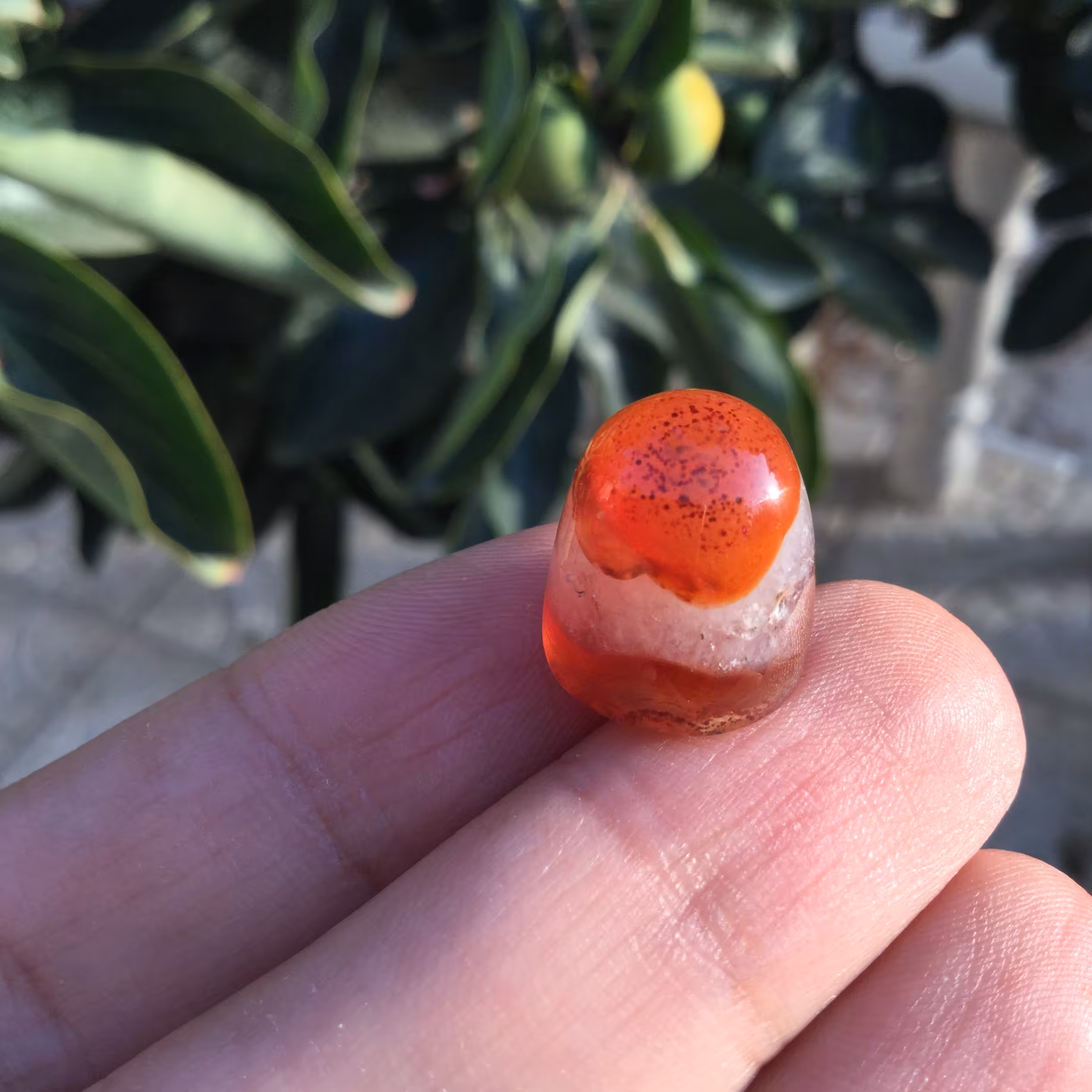 عقیق سرخ طبیعی فاق بلند