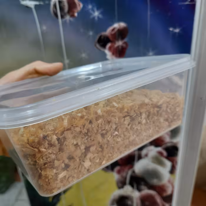 پیاز داغ نگینی  خانگی مامان زهرا 