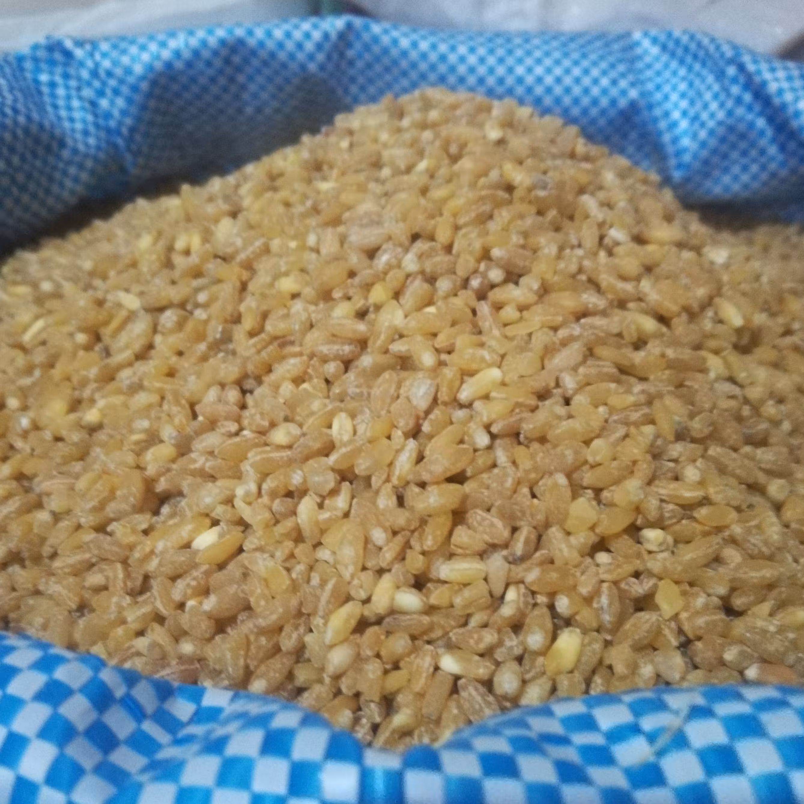 گندم پوست کنده