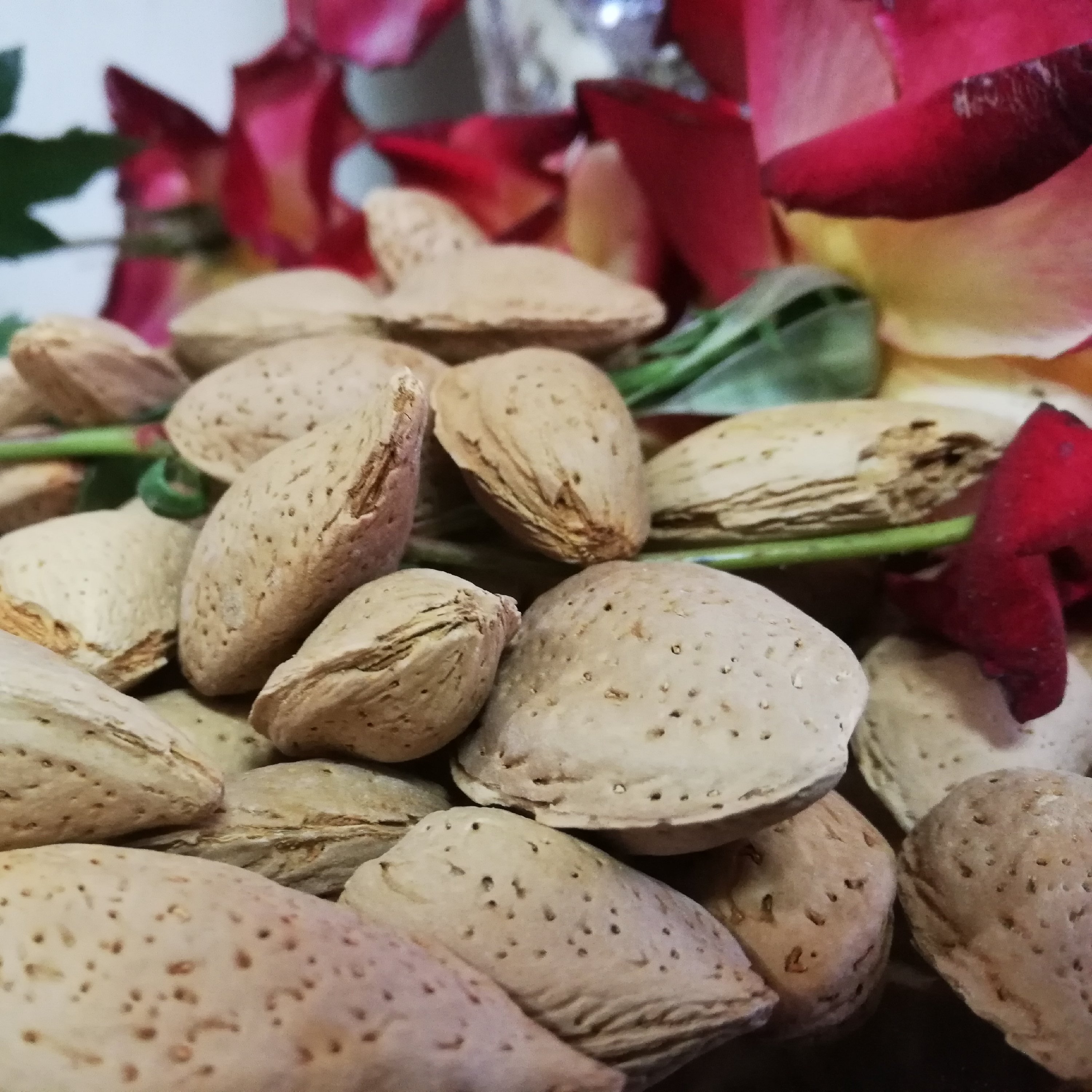 بادام سنگی ویژه (سایز درشت)(1000گرمی)(ارسال رایگان)