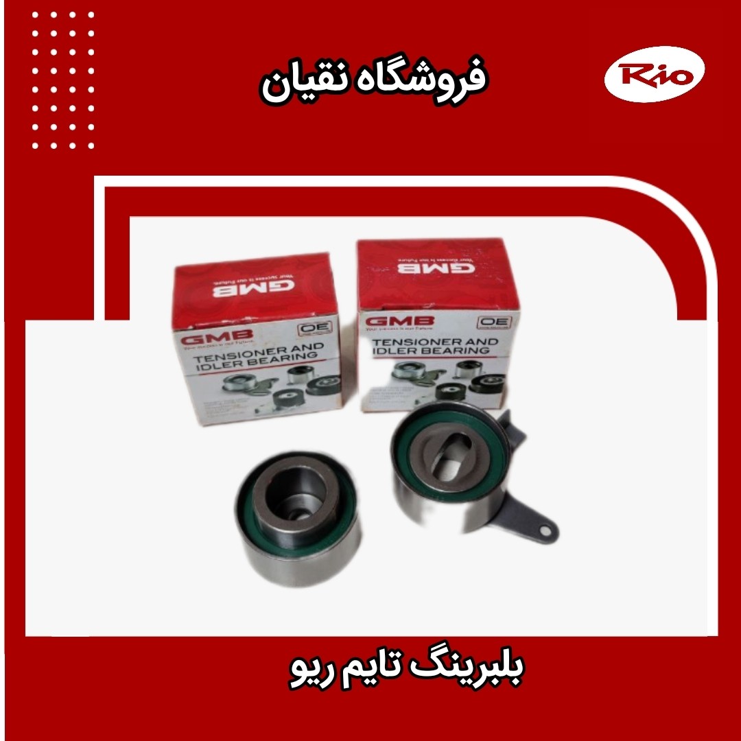 بلبرینگ تایم ثابت و متحرک ریو GmB