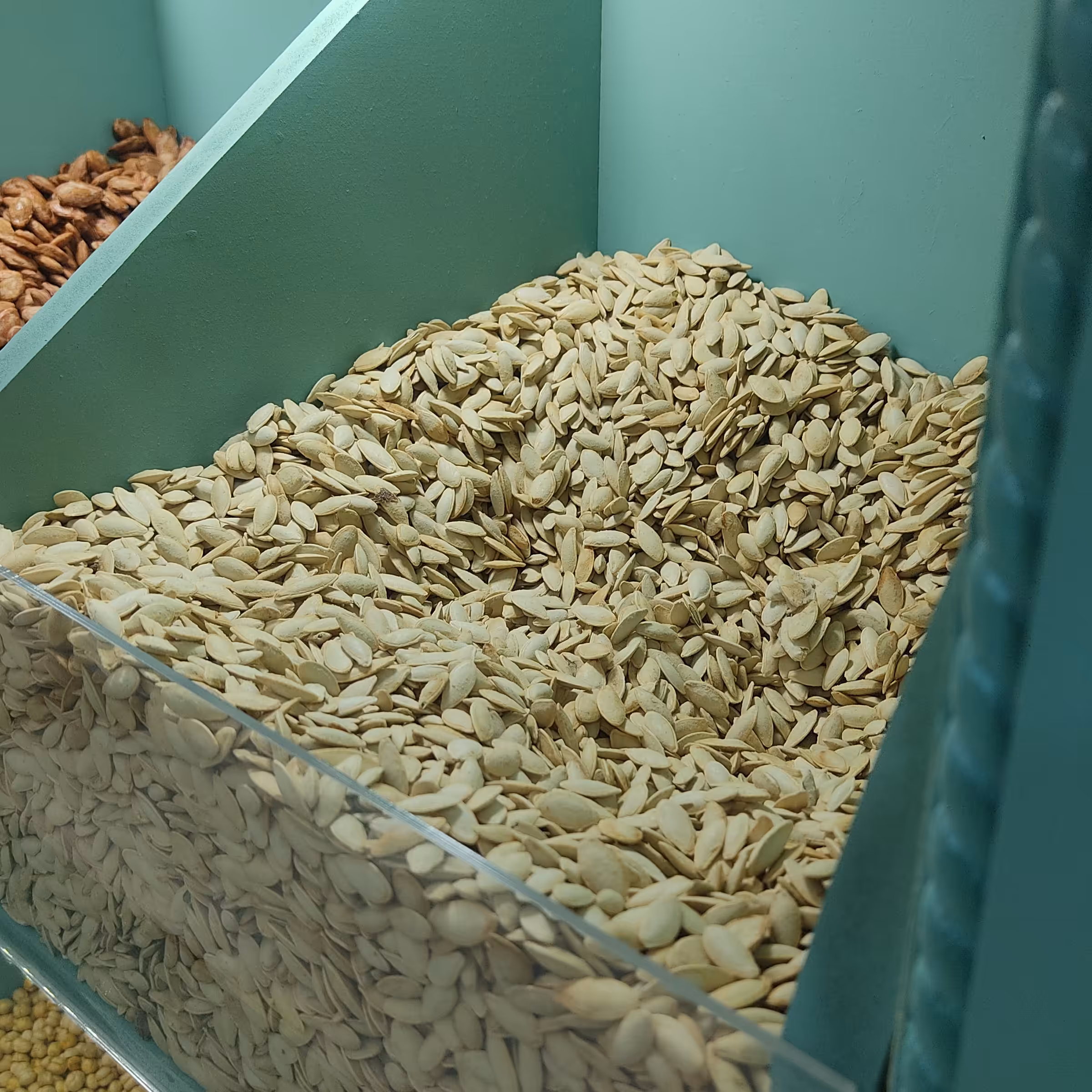 تخم کدو مشهدی شور 