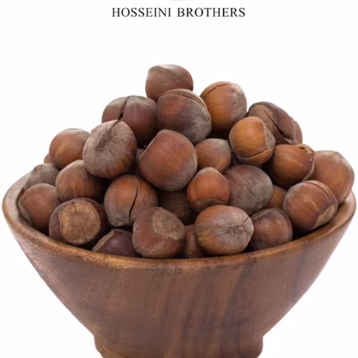 فندوق خام تازه 1 کیلویی اعلاءالموت قزوین  محصول 1403