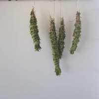 پک 2عددی عود گیاهی(اسماج)