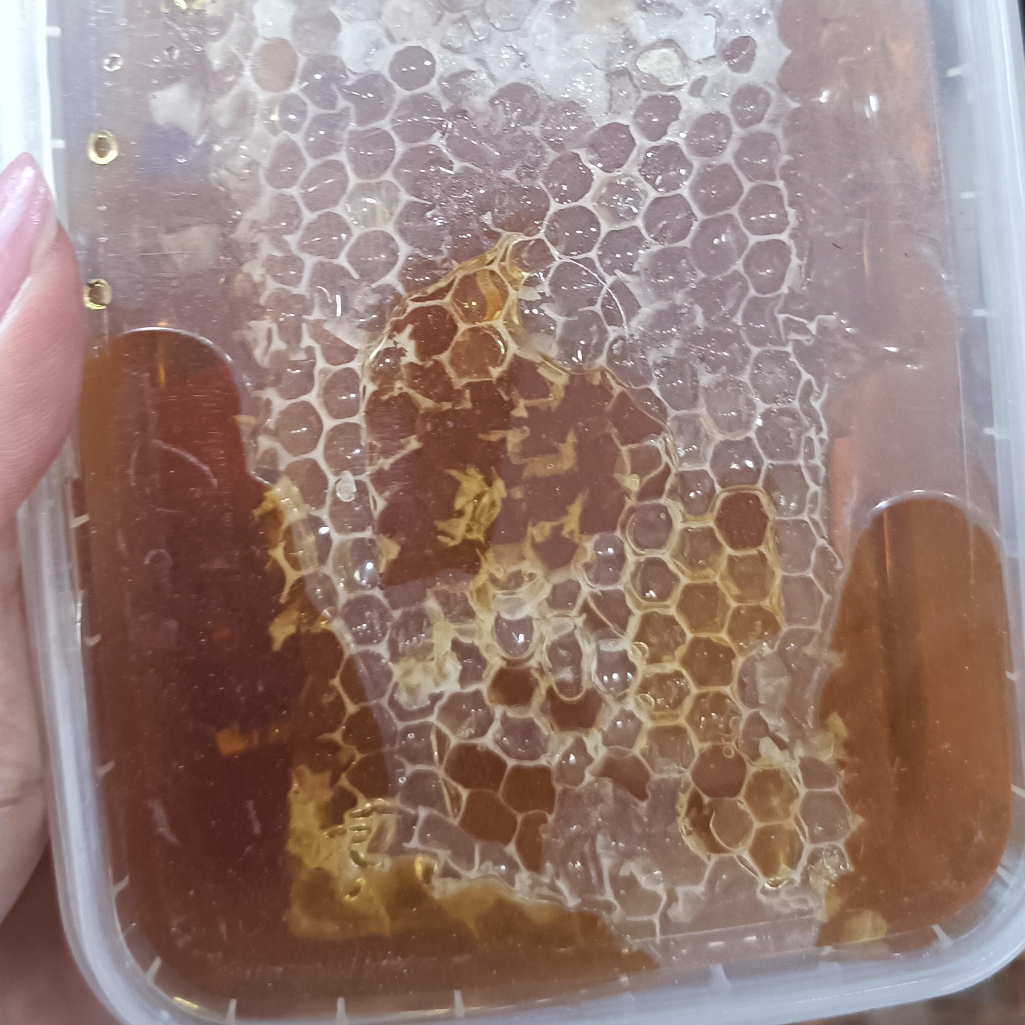 عسل طبیعی سوپر ممتاز نیم کیلو 137