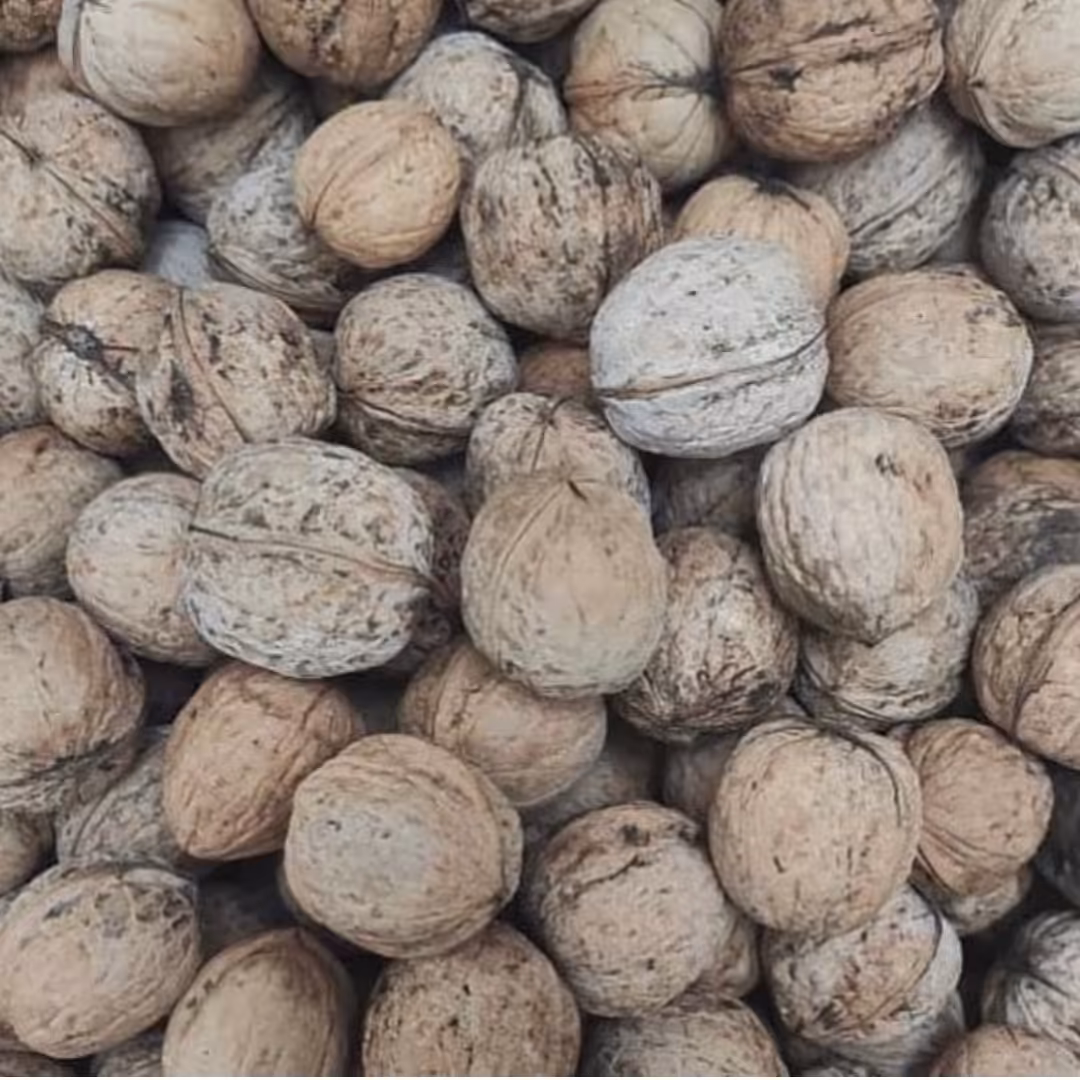 گردو دماوند با پوست (3 کیلویی)