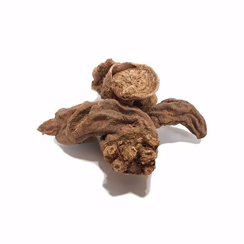 گیاه بهمن سرخ 50 گرم مناسب ناباروری مردان