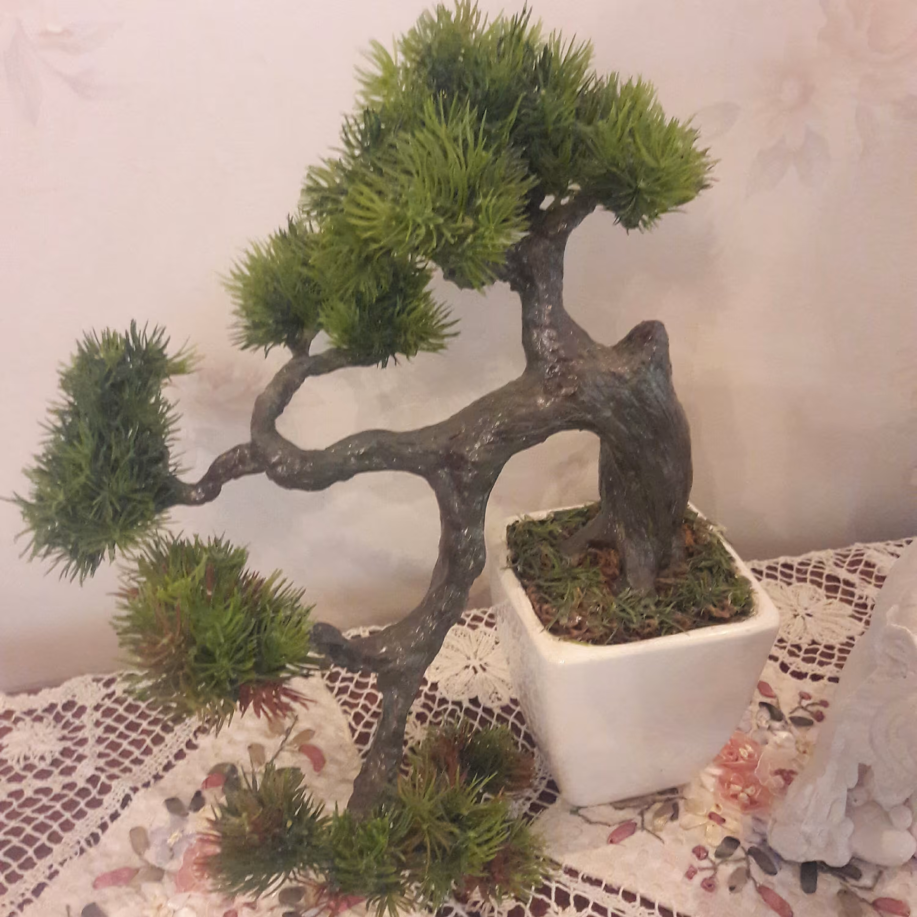 درختچه آبشاری بونسای کوچک