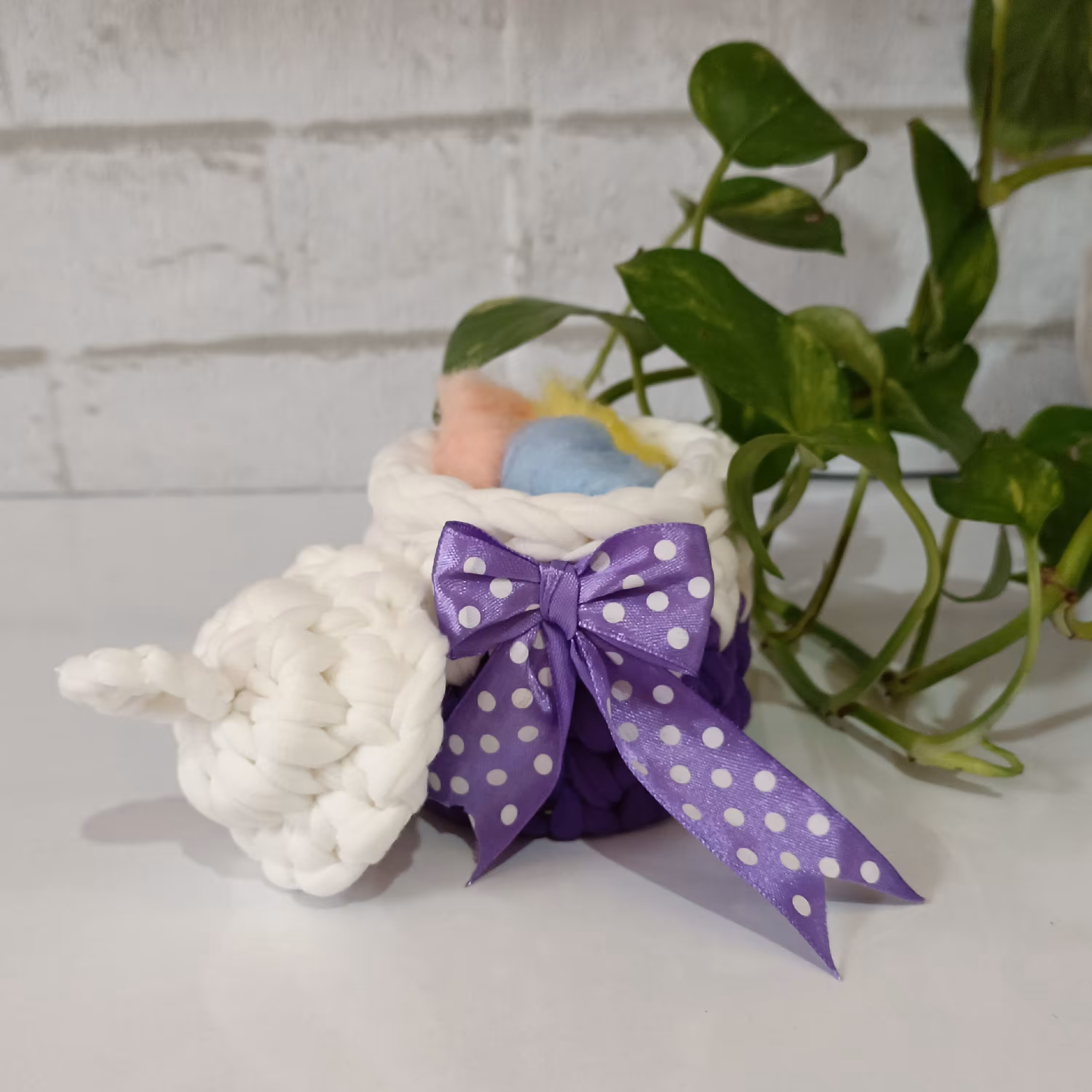 سبد تریکو در دار