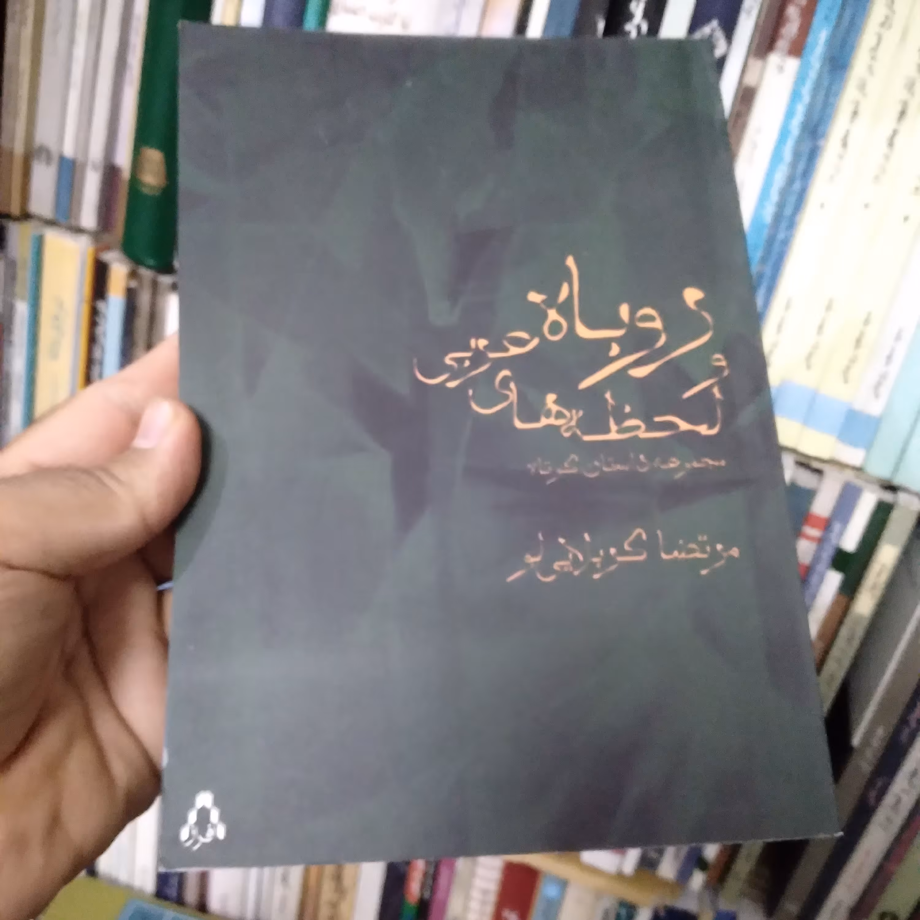 روباه و لحظه های عربی (مجموعه داستان کوتاه)