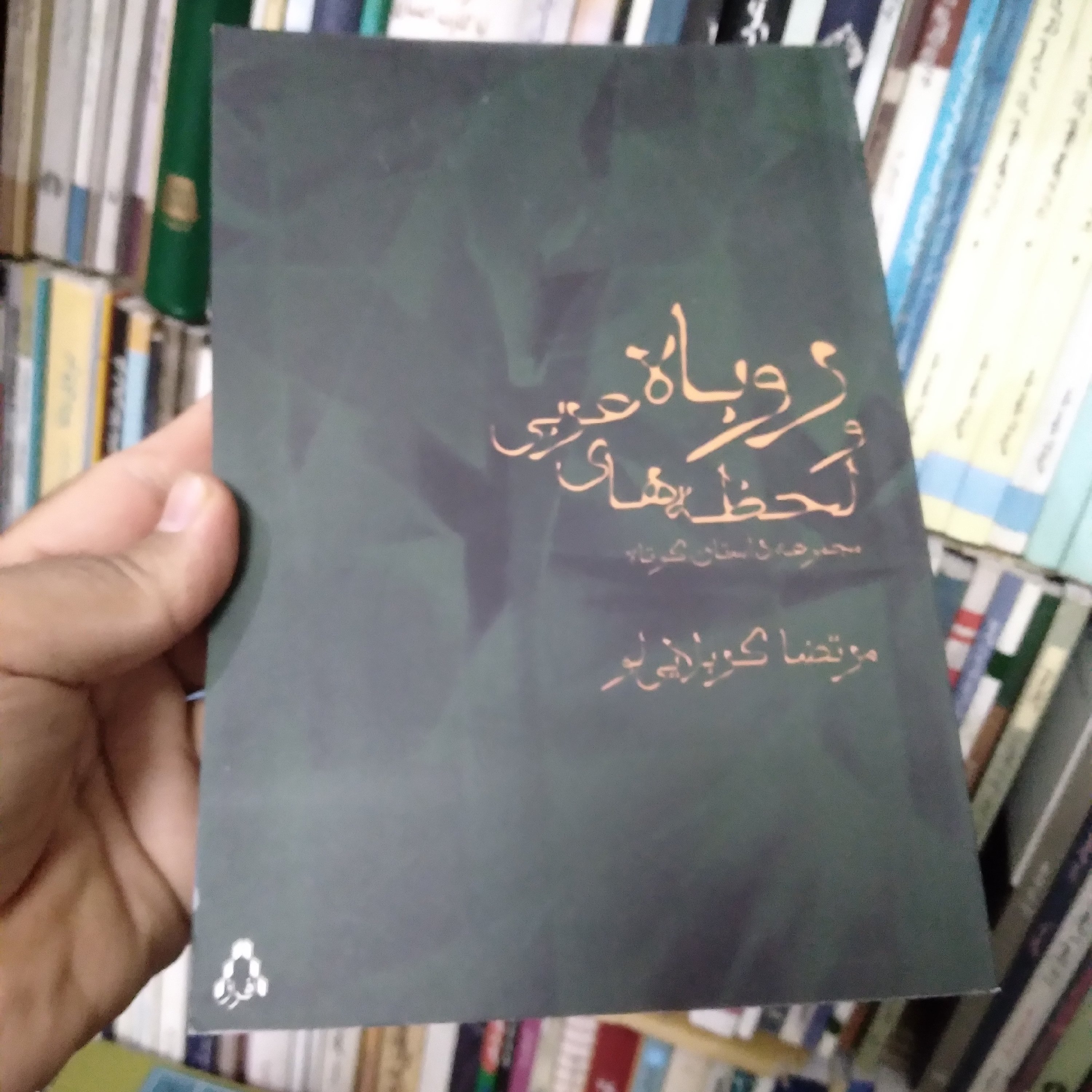 روباه و لحظه های عربی (مجموعه داستان کوتاه)