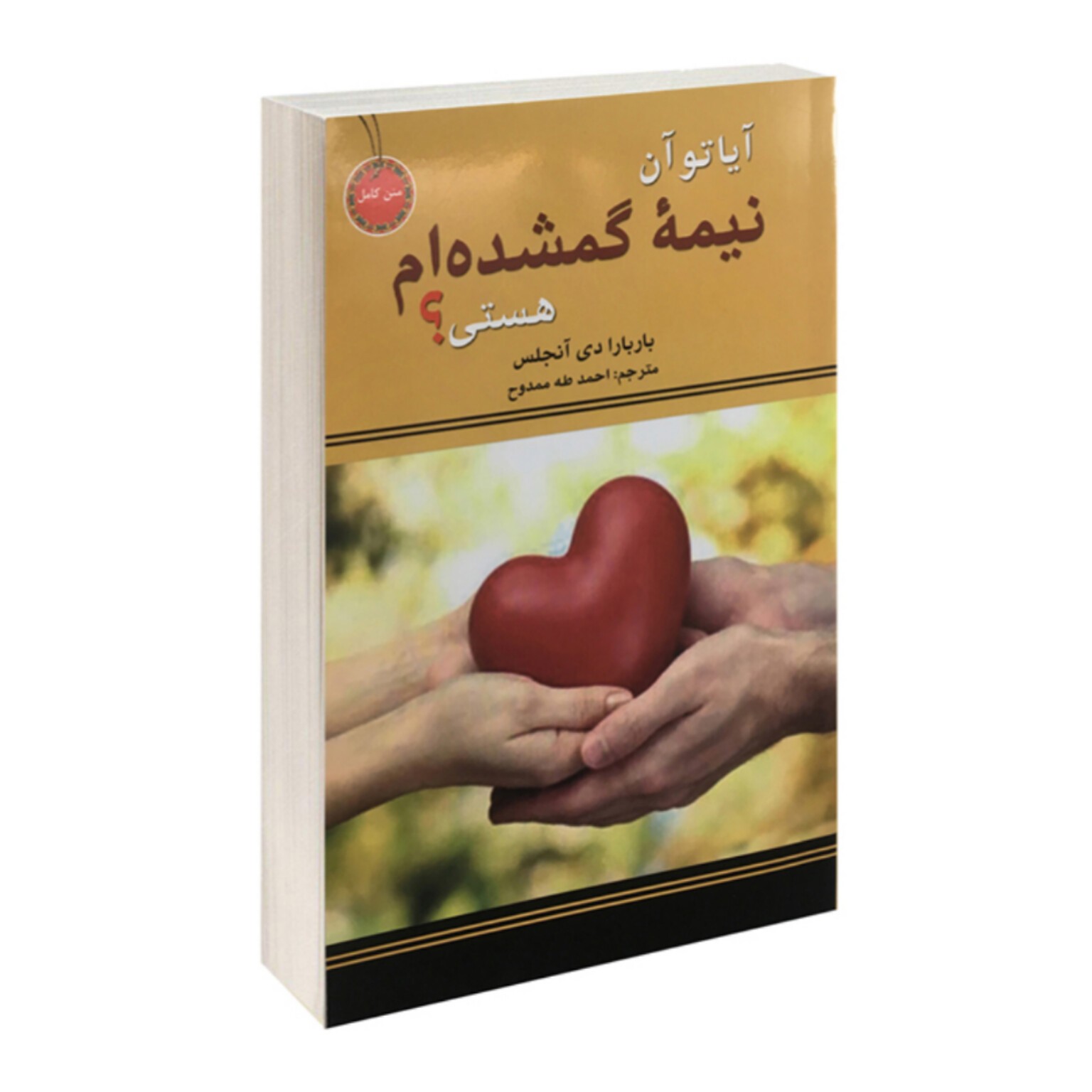 آیا تو آن نیمه گمشده ام هستی