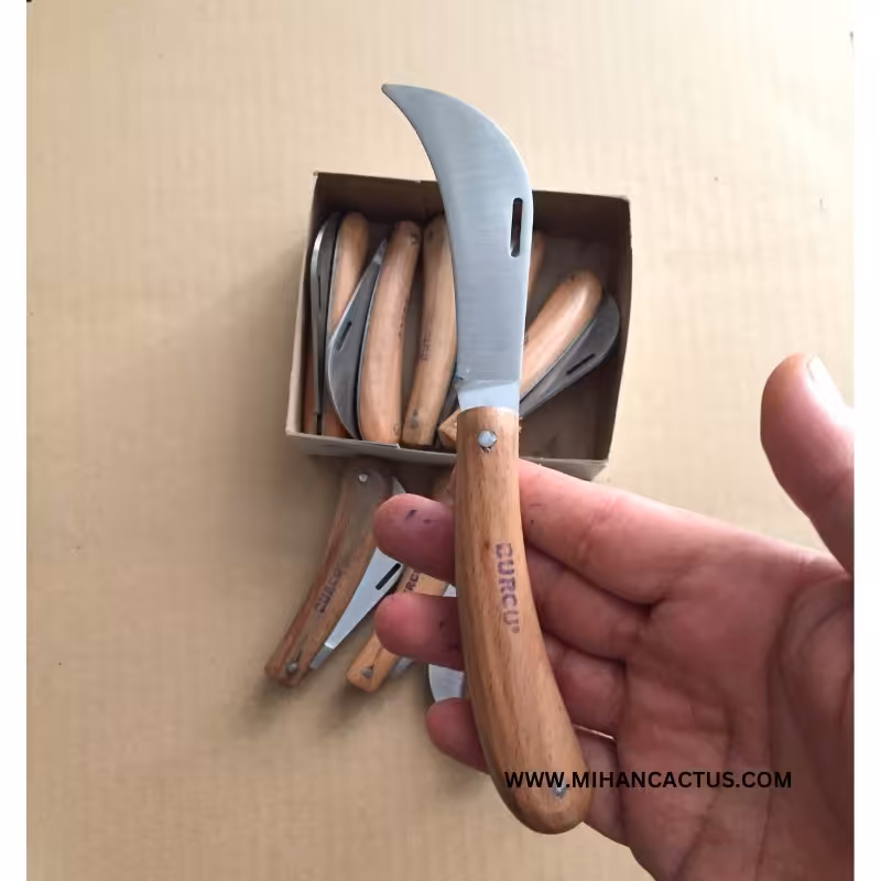 چاقوی پیوند زنی سر کج کیفیت عالی ساخت ترکیه مدل burcu گردو