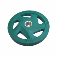 وزنه صفحه هالتر فرمانی رنگی 15 کیلوگرمی