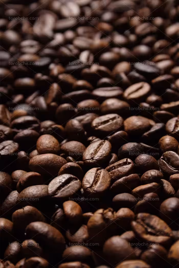 عکس با کیفیت دانه های قهوه تازه | گرافیک با طعم تربچه