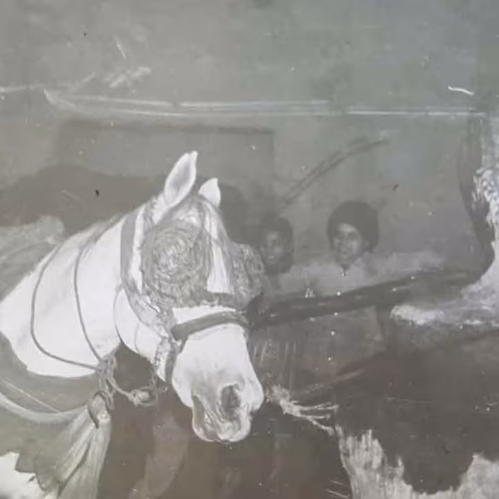 ارده کنجد بومی سنتی برازجان - تاسیس 1248 شمسی