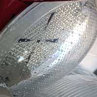 دیواری وسقفی مختلف