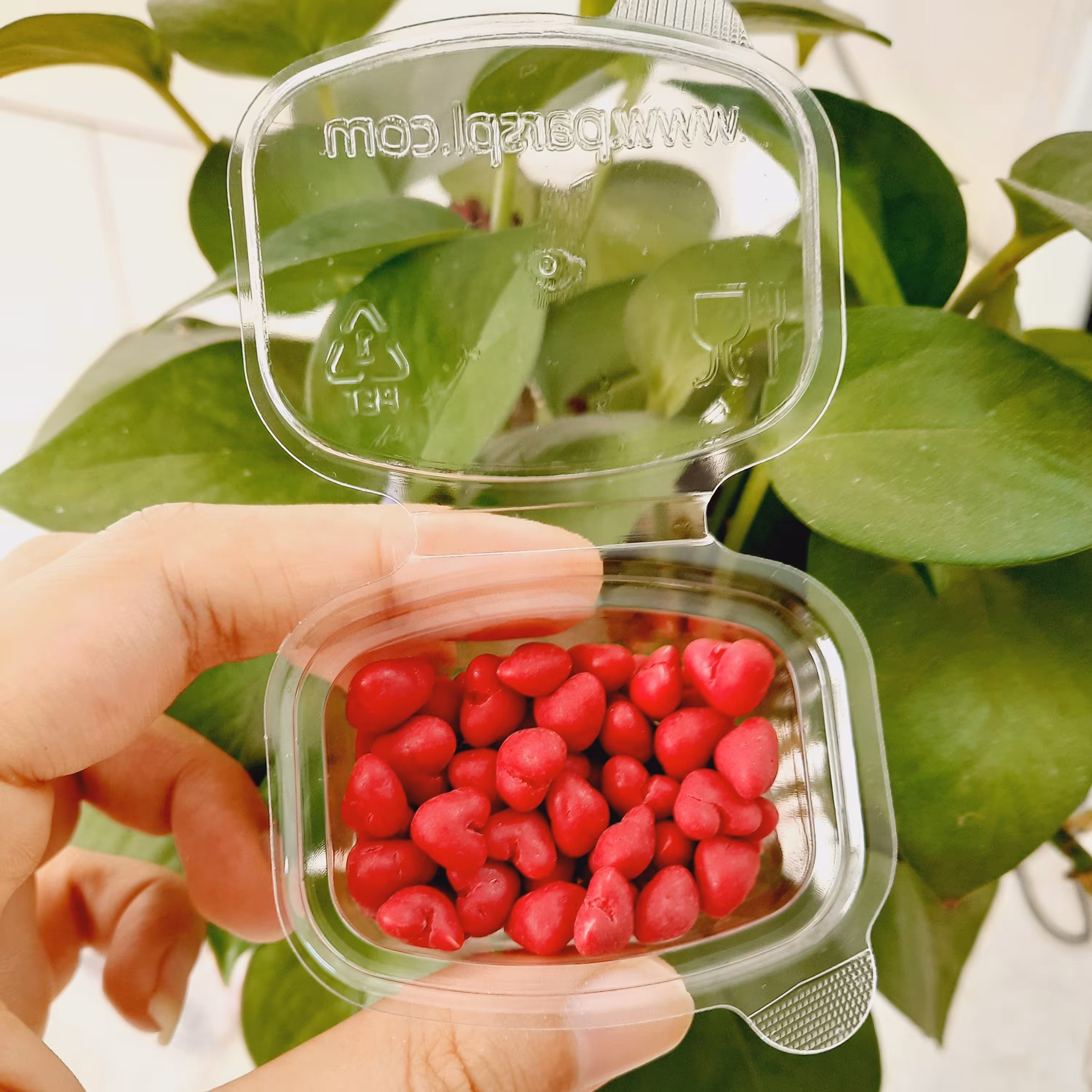 دراژه قلبی قرمز قوطی