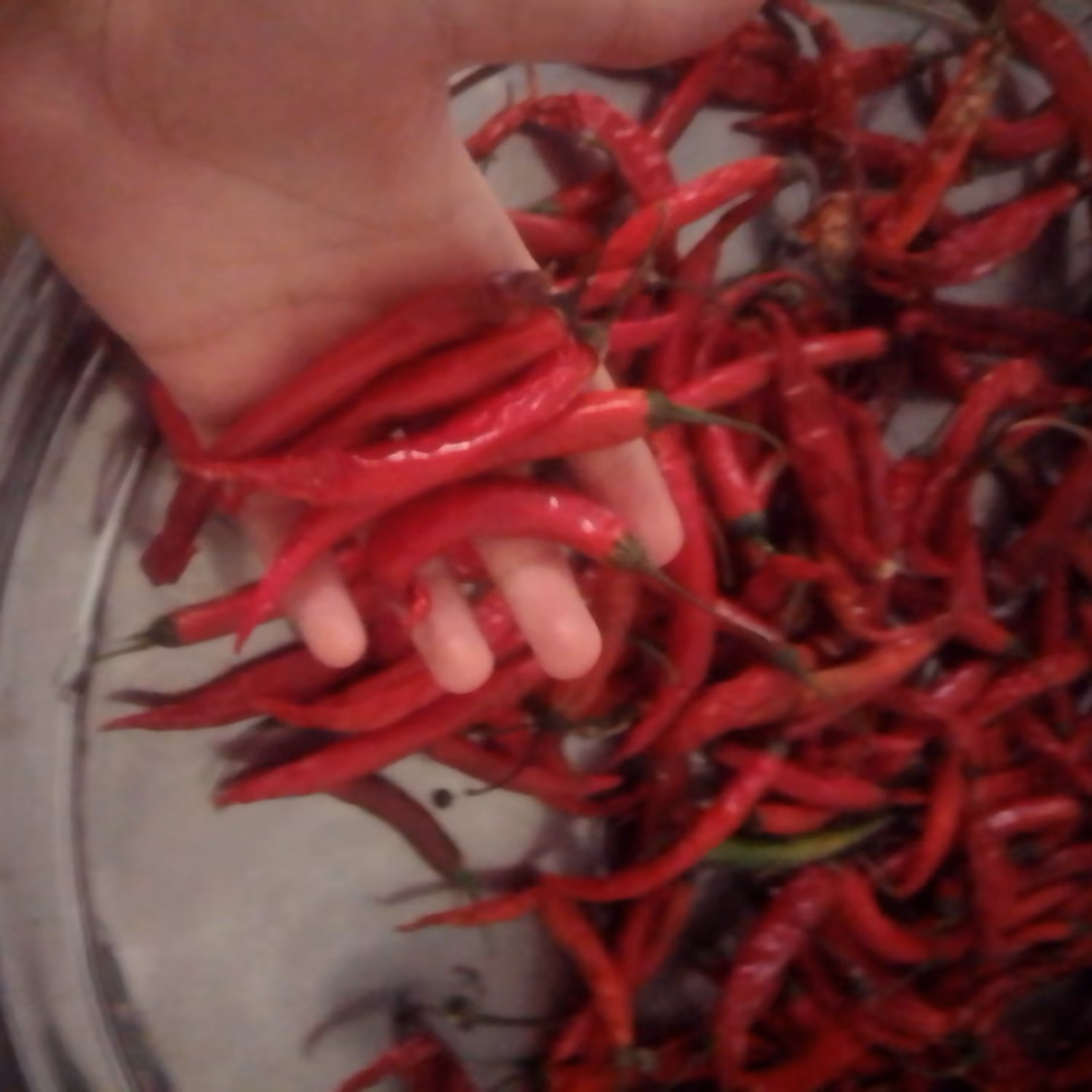 فلفل قرمز عمده پنج کیلویی