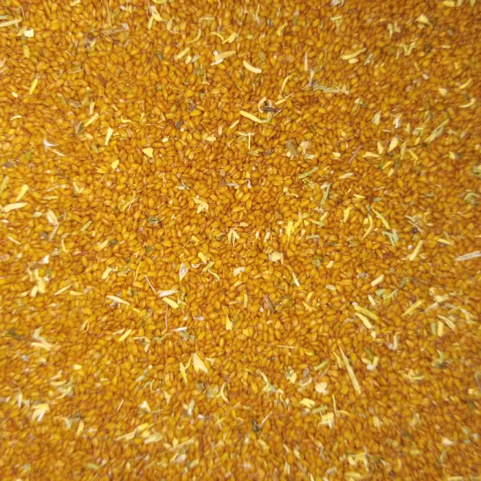 خاکشیر محلی ریز تازه 100 برداشت امسال 