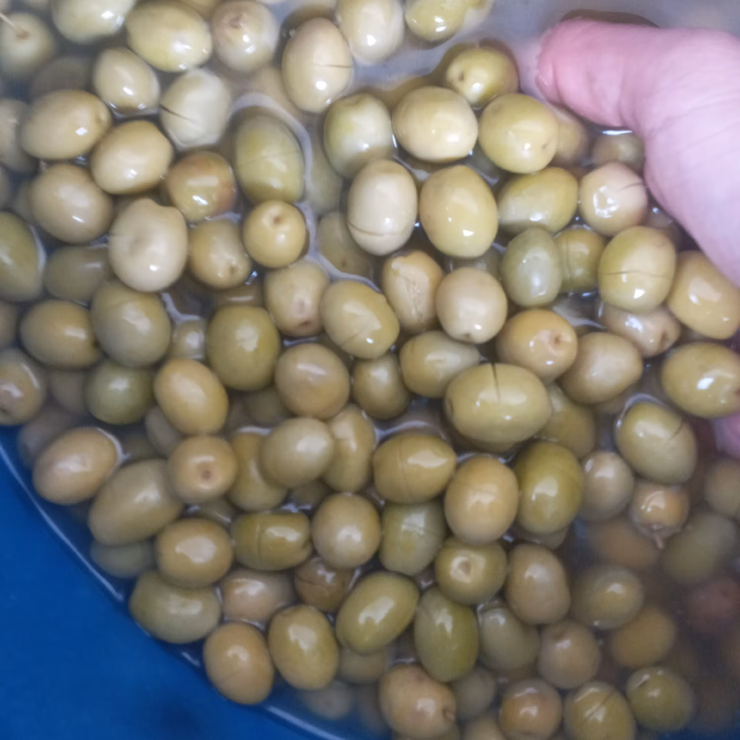 زیتون شکسته کنسروی ممتاز  بسیار  خوش خوراک  و روغنی در بسته بندی  یک کیلویی