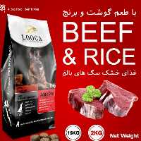 غذا خشک سگ بالغ گوشت