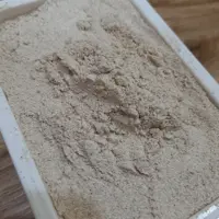پودر سیر ایرانی اعلا 2 کیلویی (پس کرایه)