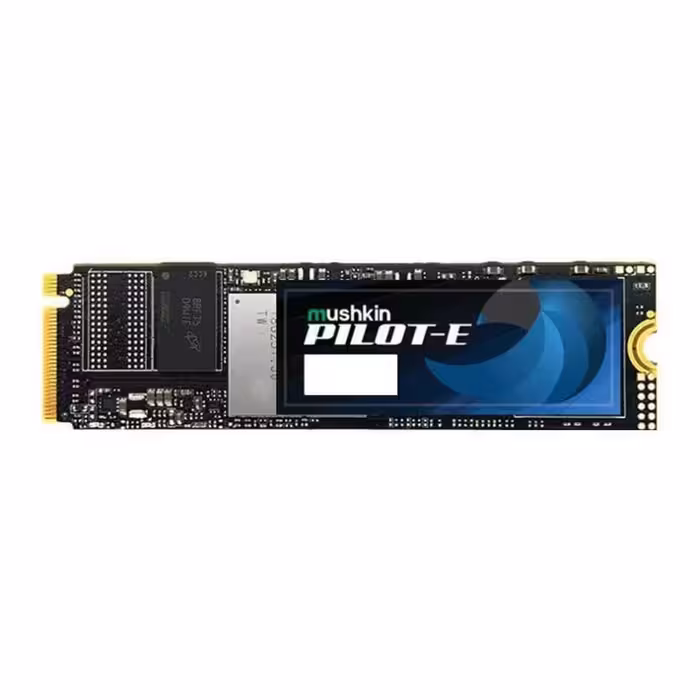 اس اس دی ماشکین PILOT-E M.2 2280 PCIe NVMe 1TB