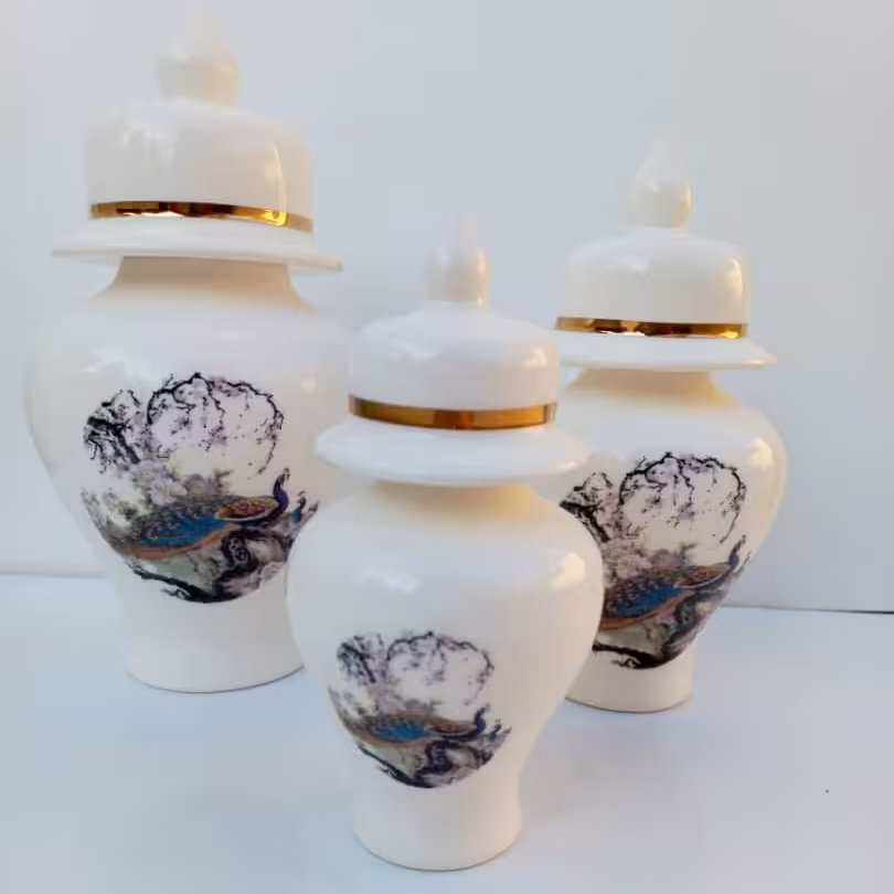 جینجر با کیفیت بصورت پس کرایه