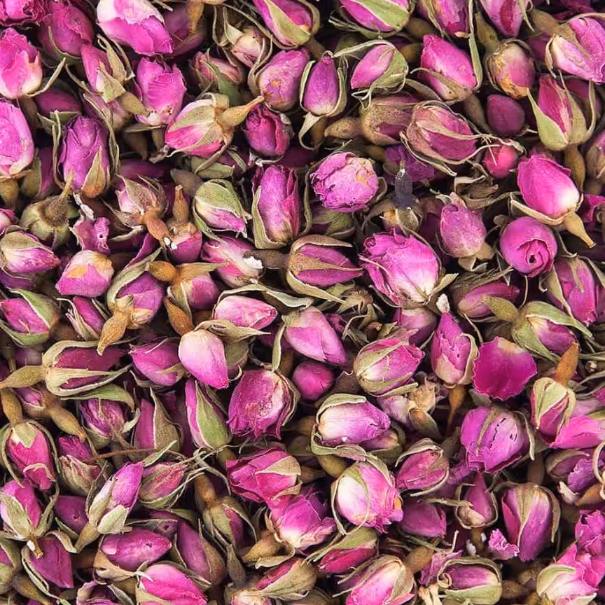 عنچه گل محمدی