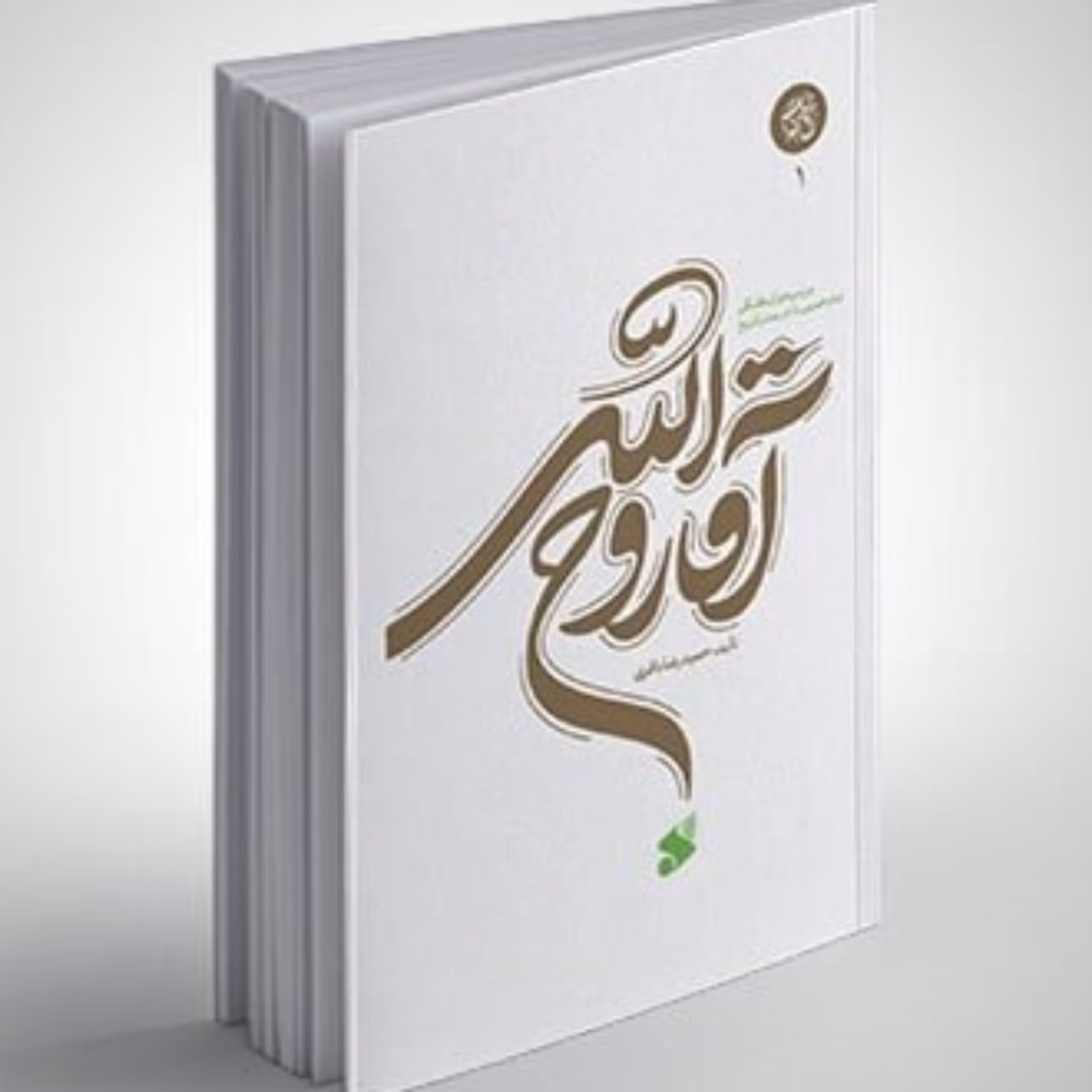 آقا روح الله نوشته حمیدرضا باقری