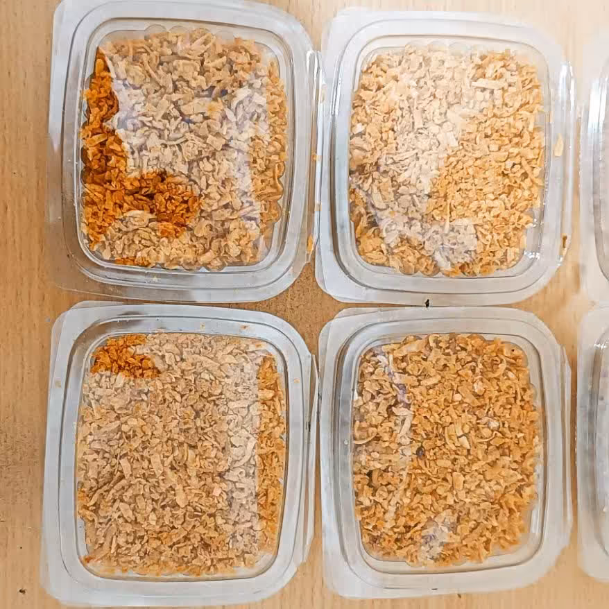 سیر سرخ شده چیپسی روغن گیری شده در بسته بندی(70گرم)