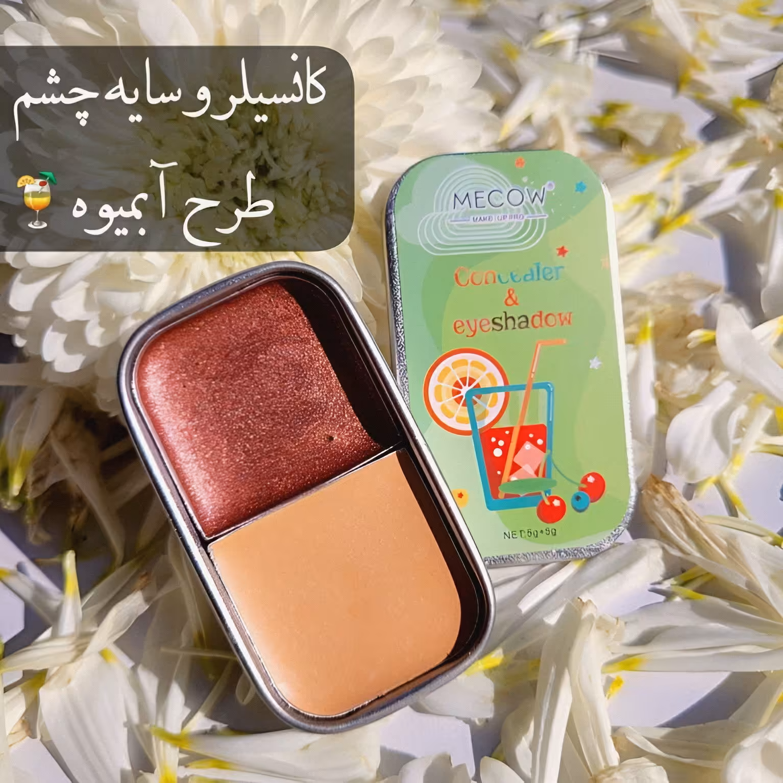 کانسیلر و سایه چشم طرح آبمیوه