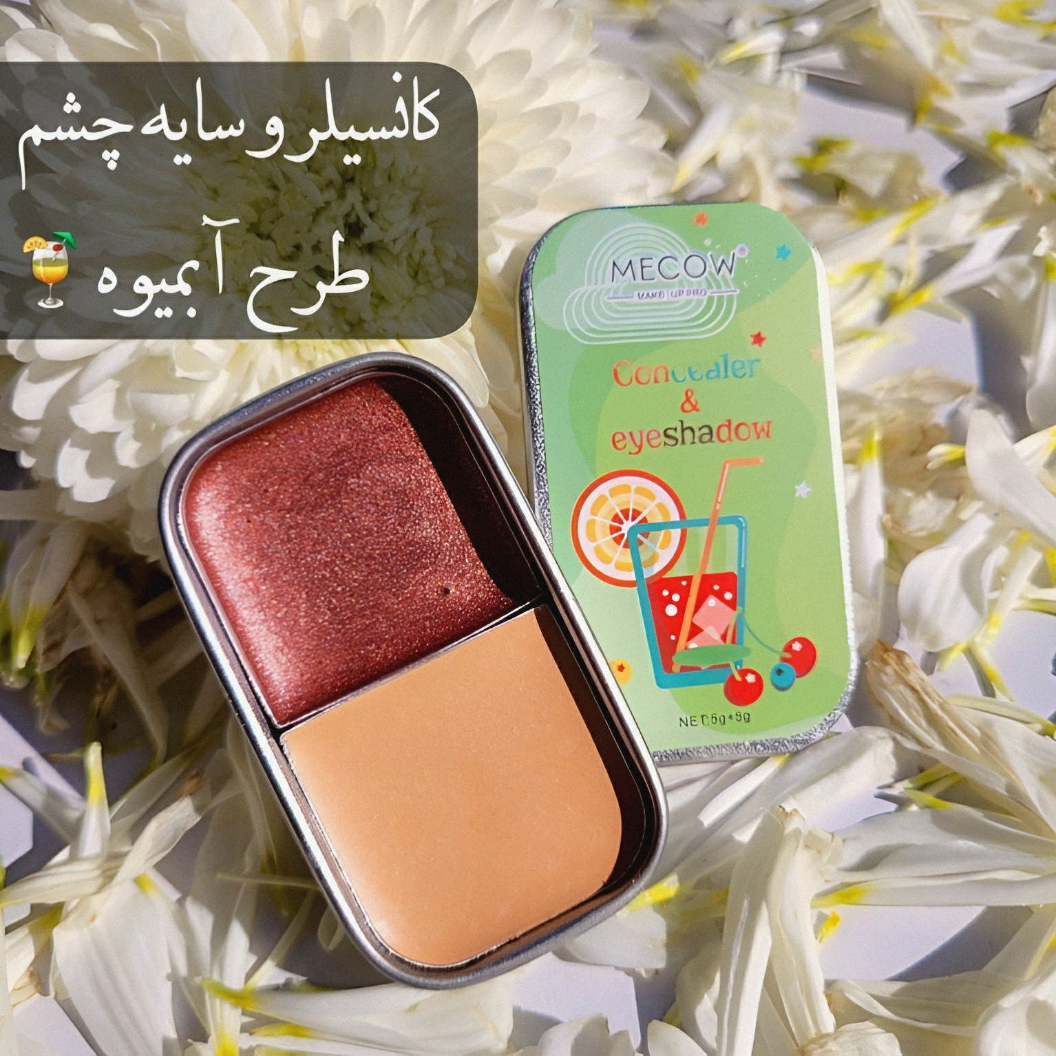 کانسیلر و سایه چشم طرح آبمیوه