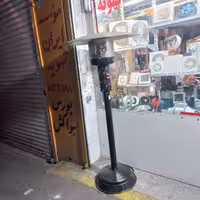 بخاری قارچی 