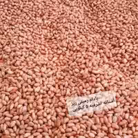 بادام زمینی ریز  آستانه اشرفیه عمده تازه  ترد و خوشمزه محصول  1403 ( 5000 گرمی )