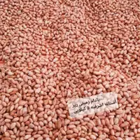 بادام زمینی ریز  آستانه اشرفیه عمده تازه  ترد و خوشمزه محصول  1403 ( 5000 گرمی )