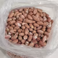 بادام زمینی امساله آستانه اشرفیه ((نیم کیلو گرم))