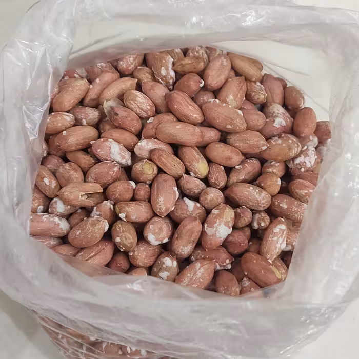 بادام زمینی امساله آستانه اشرفیه ((نیم کیلو گرم))