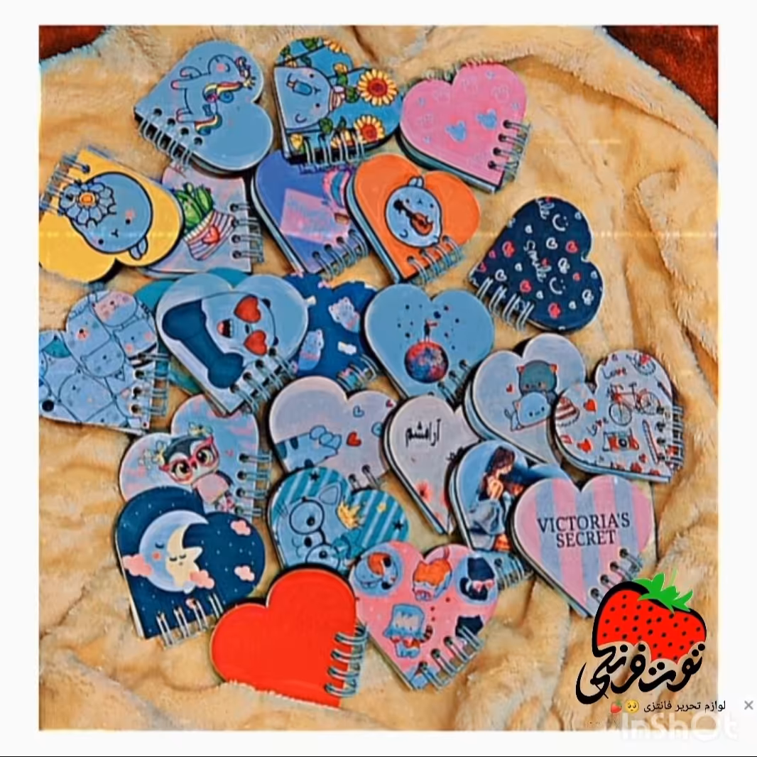 دفترچه قلبی 