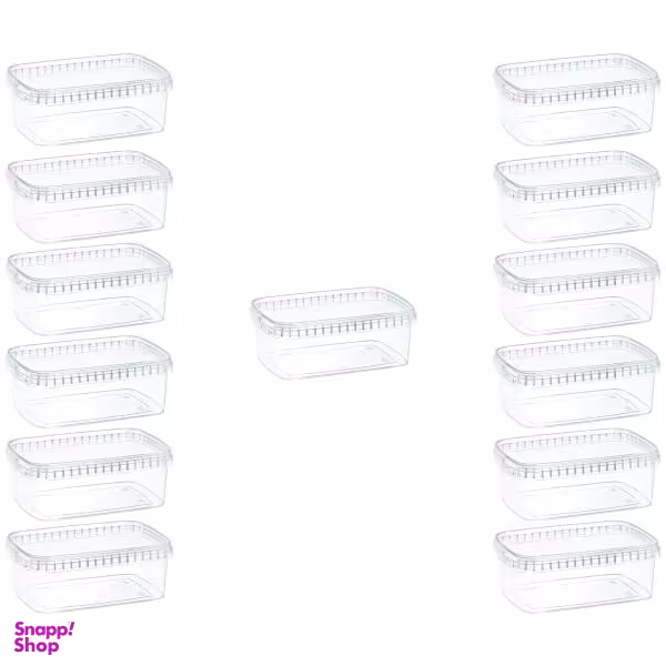 ظرف نگهدارنده طب پلاستیک مدل 1200C بسته 13 عددی