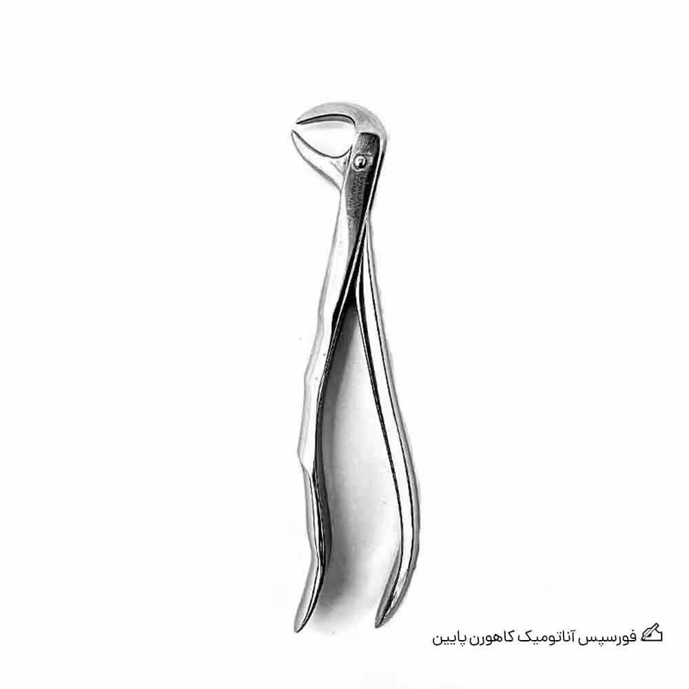 فورسپس آناتومیک کاهورن پایین