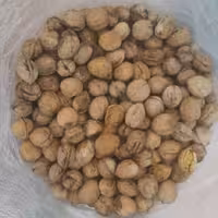 گردو درجه یک