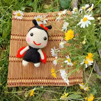 کفشدوزک بافتنی