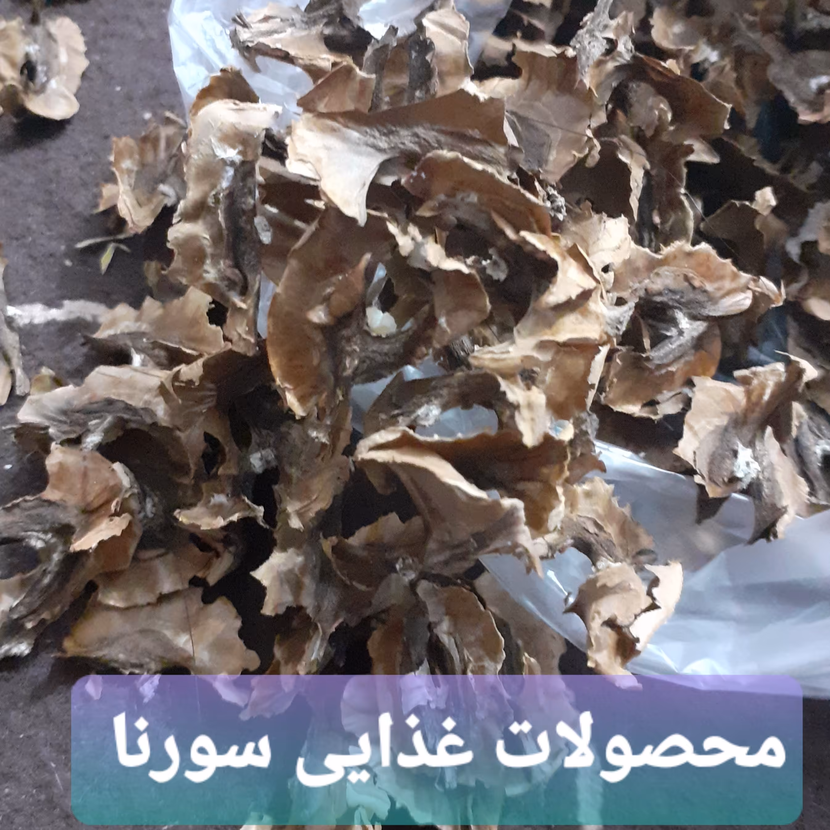 پوست داخلی گردو(عالی برای دیابت و چربی)