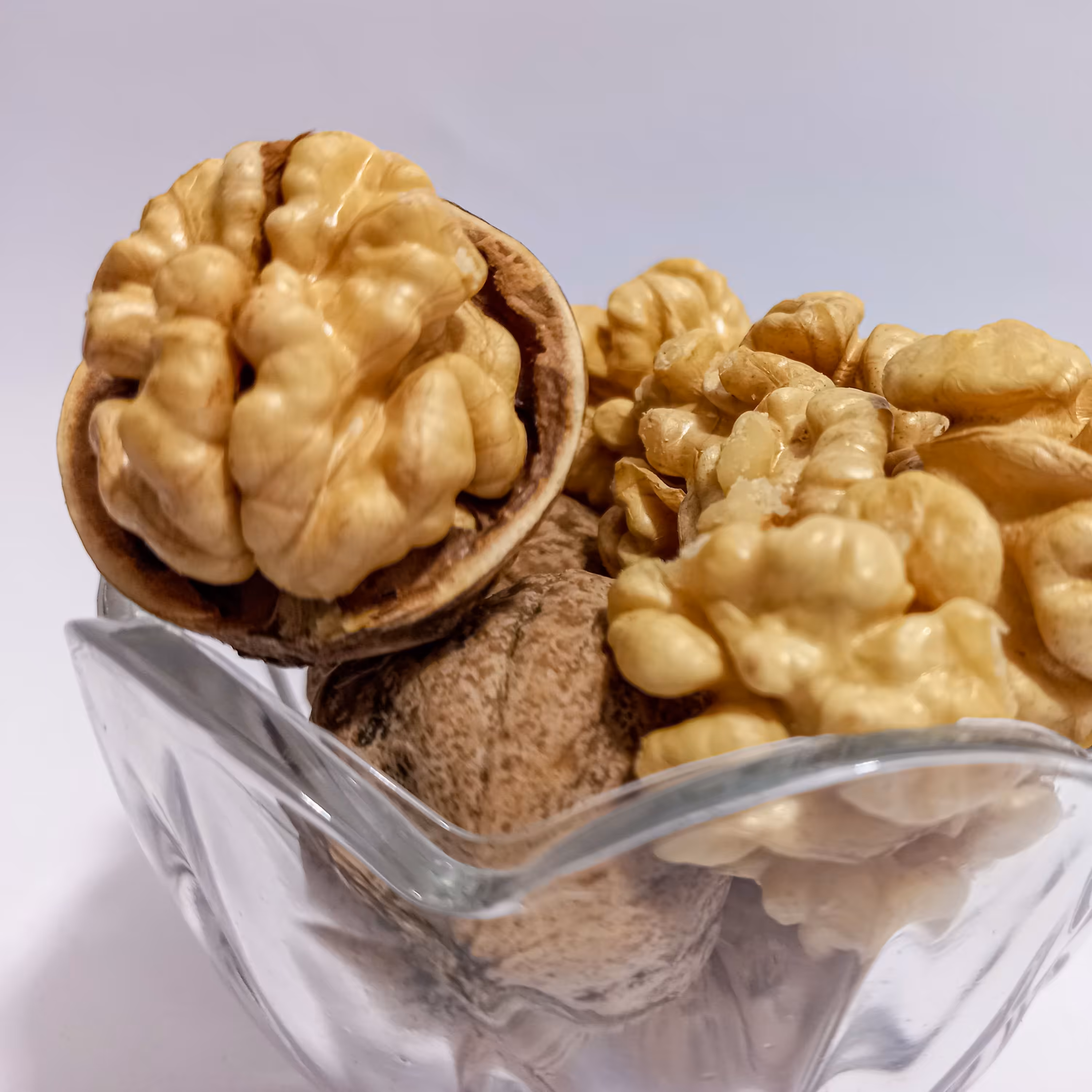 گردو تازه پوست کاغذی درجه یک برداشت شهریور 1402(1000گرم)