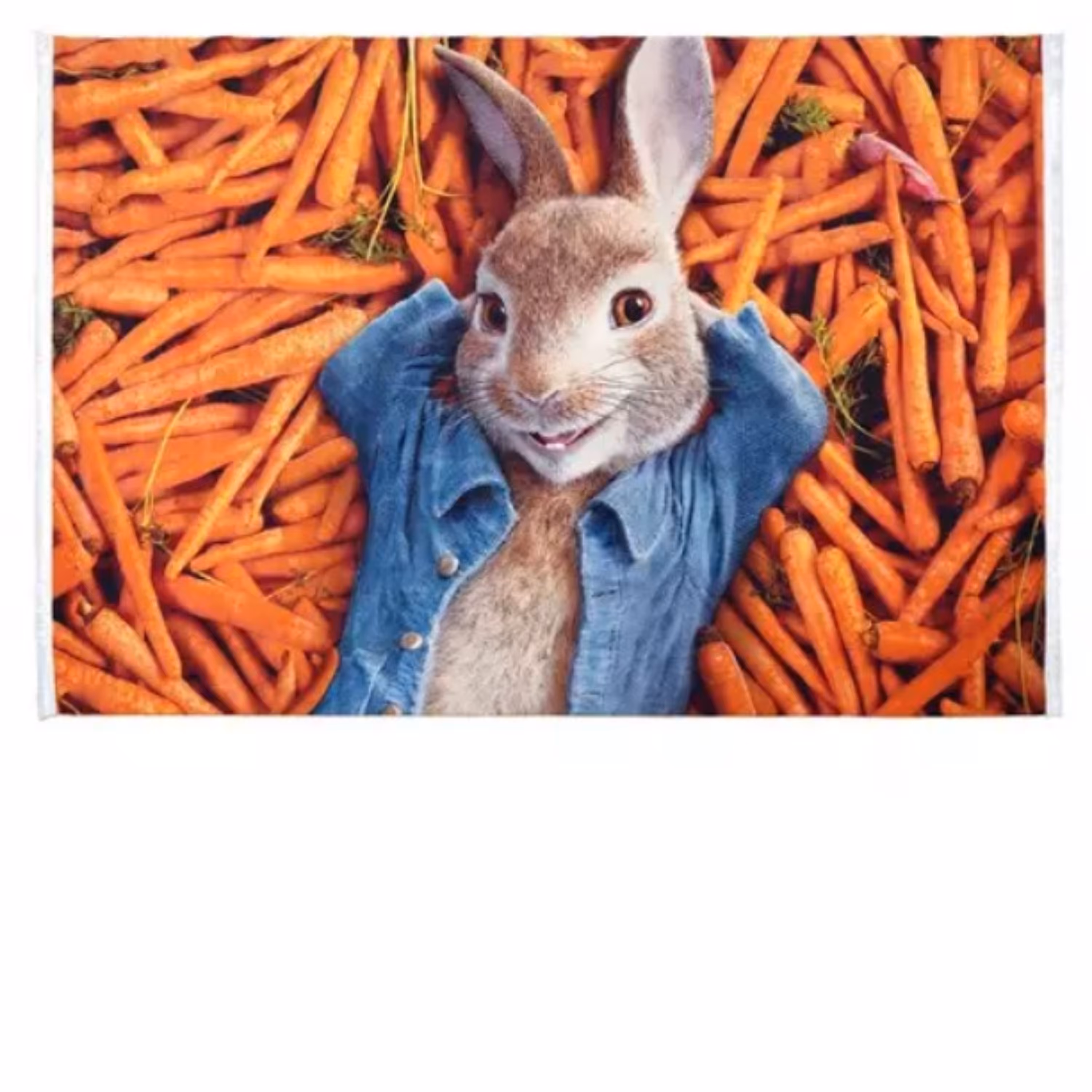 فرش ماشینی کودک چهار متری(1.5در2.25) طرحنبرد خرگوشها کد100219