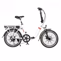 دوچرخه برقی اروند موتور پاک AMP 4004