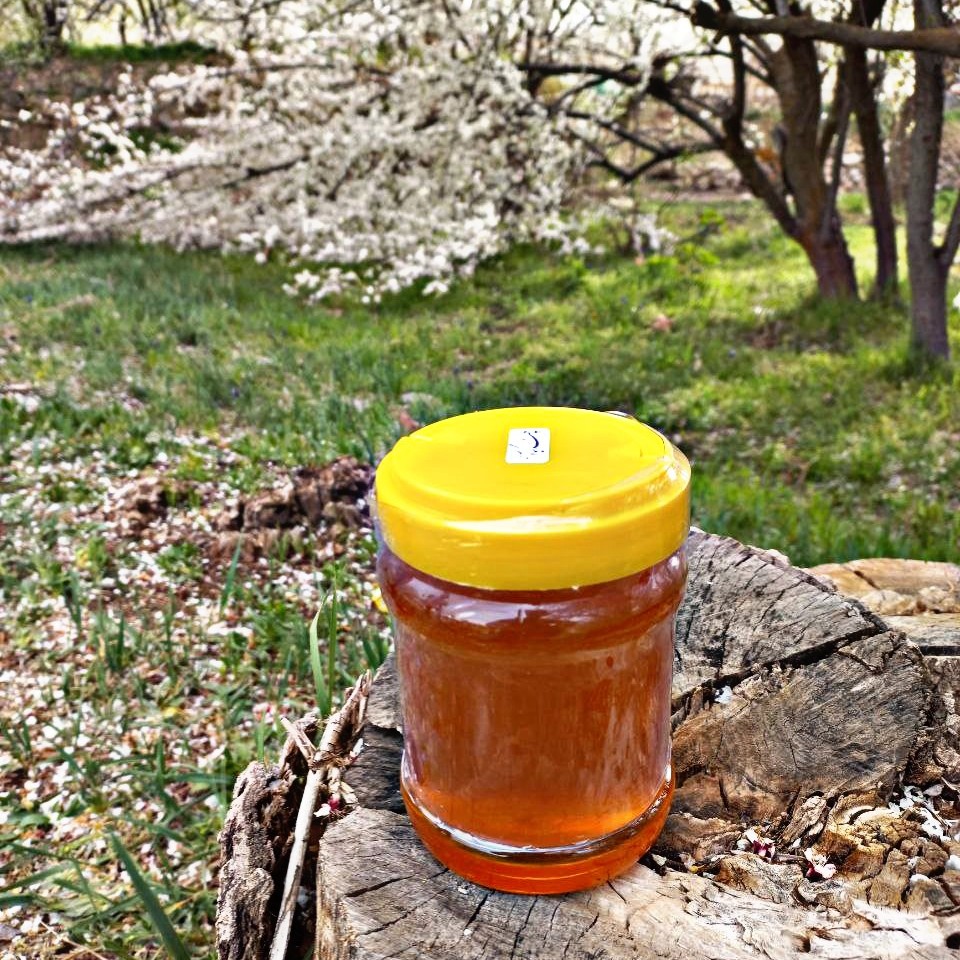عسل چند گیاه طبیعی یک کیلویی